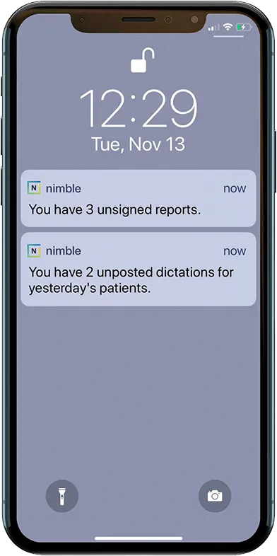 Notifications from nimble solutions on an iPhone
