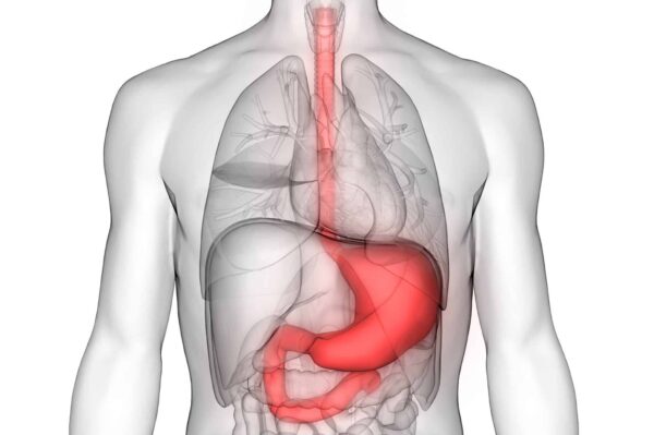 2025 The Anatomy of Coding - Endoscopic GI Procedures